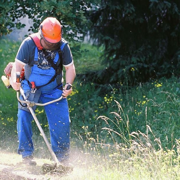 Ein Mann mit Arbeitskleidung mäht eine Wiese mit einem Freischneider.