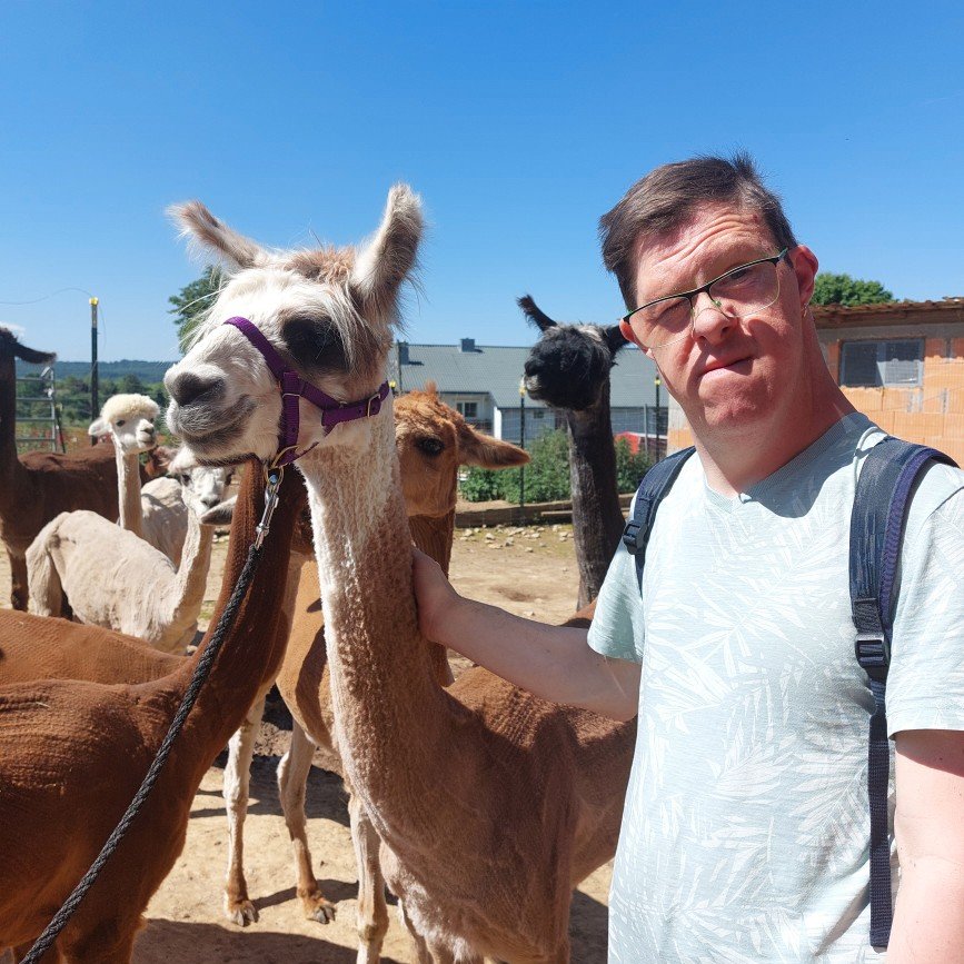 Ein junger Mann steht neben einem Lama, im Hintergrund sind weitere Tiere zu sehen.