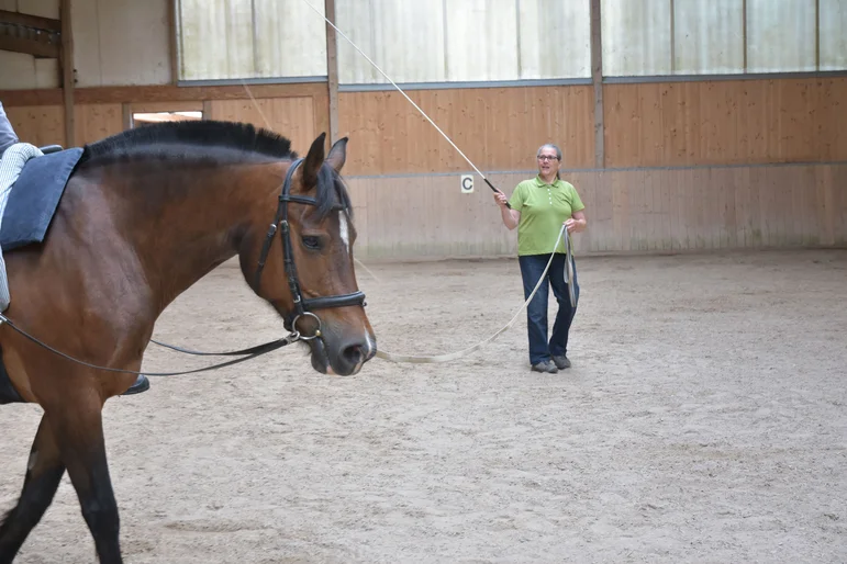 Eine Frau führt ein Pferd an der Leine.