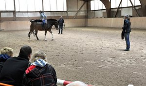 Vorführung in der Reithalle Schwarzach