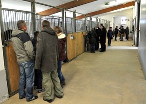 Besucher im Reitstall der Reithalle Schwarzach