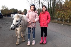Zwei Mädchen führen ein Pony auf der Jugendfarm