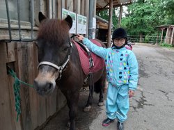 Mädchen neben einem Pferd