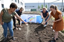 Legten die Grundlage für ein Nahrungsangebot für Bienen und andere Insekten: Samantha Leschnewitz, Sara Baas, Antje Wohlatz und Karin Maidhof (v.l.).