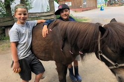 Zwei Jungen stehen neben einem braunen Pony